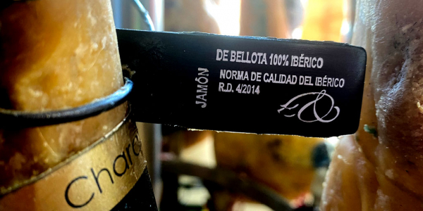PATA NEGRA