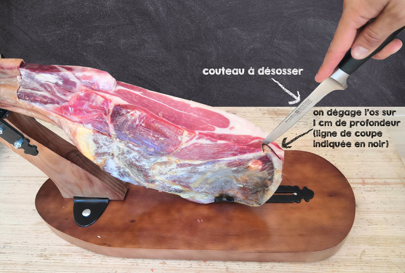 paleta serrana - guide de découpe - isolation de l'omoplate