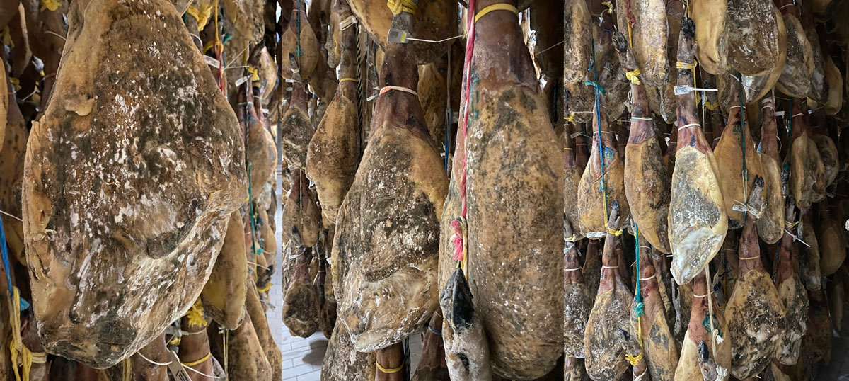 Jamón en schimmel