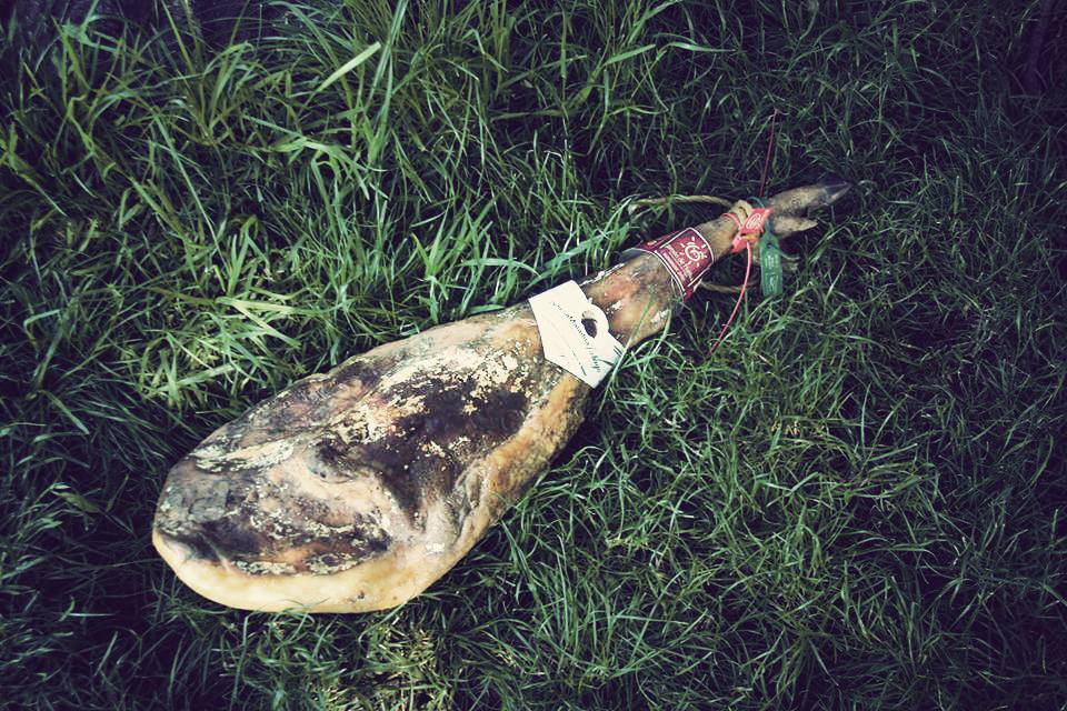 Spanje: Waarom is de duurste jamón ter wereld zo duur? - Jamon.be
